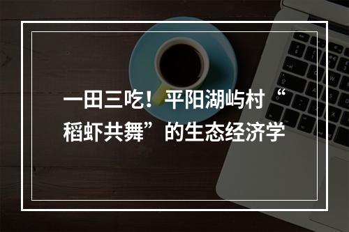 一田三吃！平阳湖屿村“稻虾共舞”的生态经济学