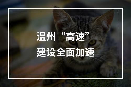 温州“高速”建设全面加速