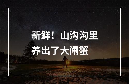 新鲜！山沟沟里养出了大闸蟹