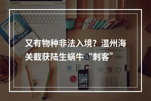 又有物种非法入境？温州海关截获陆生蜗牛“刺客”