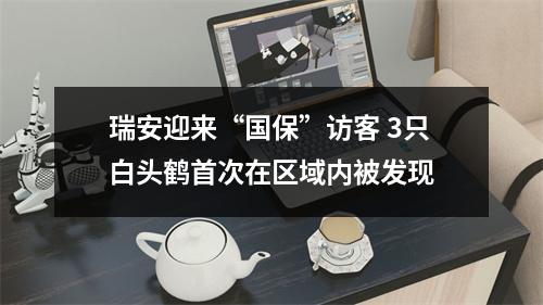 瑞安迎来“国保”访客 3只白头鹤首次在区域内被发现