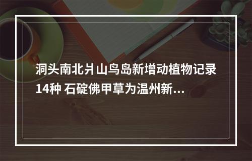 洞头南北爿山鸟岛新增动植物记录14种 石碇佛甲草为温州新记录