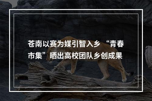 苍南以赛为媒引智入乡 “青春市集”晒出高校团队乡创成果