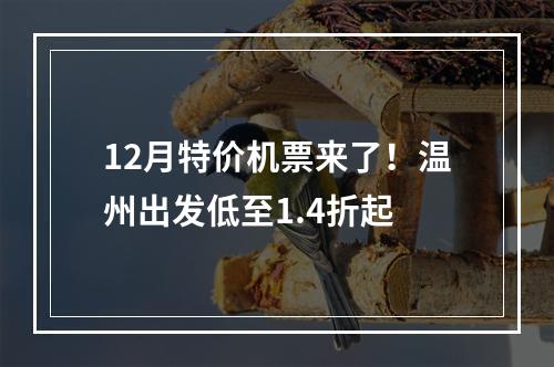 12月特价机票来了！温州出发低至1.4折起