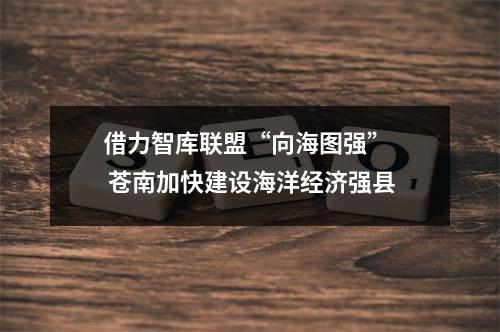 借力智库联盟“向海图强”  苍南加快建设海洋经济强县