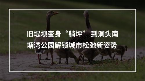 旧堤坝变身“躺坪” 到洞头南塘湾公园解锁城市松弛新姿势