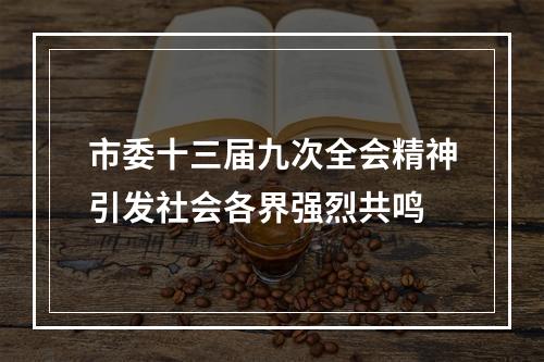 市委十三届九次全会精神引发社会各界强烈共鸣