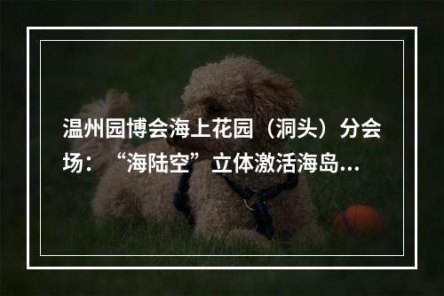 温州园博会海上花园（洞头）分会场：“海陆空”立体激活海岛魅力