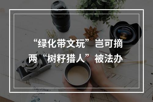 “绿化带文玩”岂可摘 两“树籽猎人”被法办