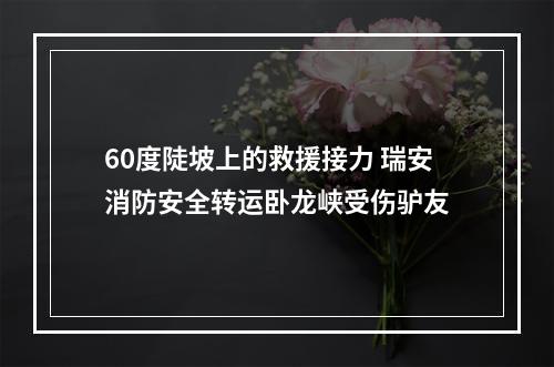 60度陡坡上的救援接力 瑞安消防安全转运卧龙峡受伤驴友