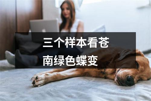 三个样本看苍南绿色蝶变