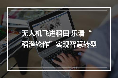 无人机飞进稻田 乐清“稻渔轮作”实现智慧转型