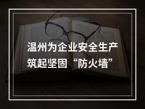 温州为企业安全生产筑起坚固“防火墙”