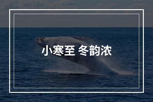 小寒至 冬韵浓