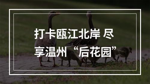 打卡瓯江北岸 尽享温州“后花园”