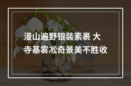 漫山遍野银装素裹 大寺基雾凇奇景美不胜收