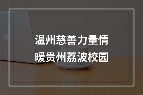 温州慈善力量情暖贵州荔波校园