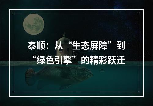 泰顺：从“生态屏障”到“绿色引擎”的精彩跃迁