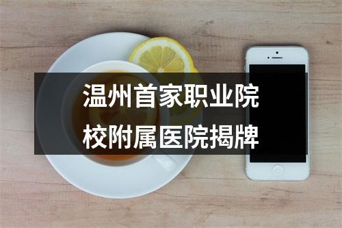 温州首家职业院校附属医院揭牌