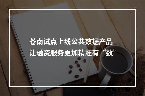 苍南试点上线公共数据产品 让融资服务更加精准有“数”