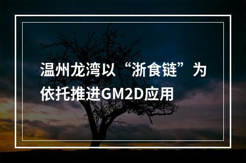 温州龙湾以“浙食链”为依托推进GM2D应用