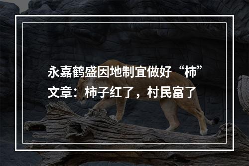 永嘉鹤盛因地制宜做好“柿”文章：柿子红了，村民富了