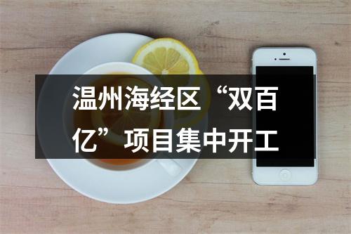 温州海经区“双百亿”项目集中开工