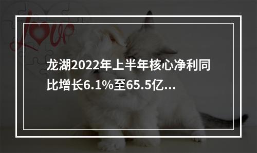 龙湖2022年上半年核心净利同比增长6.1%至65.5亿元 经营性业务收入增26%至110.4亿元