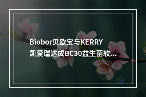 Biobor贝欧宝与KERRY凯爱瑞达成BC30益生菌软糖战略合作