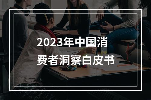 2023年中国消费者洞察白皮书