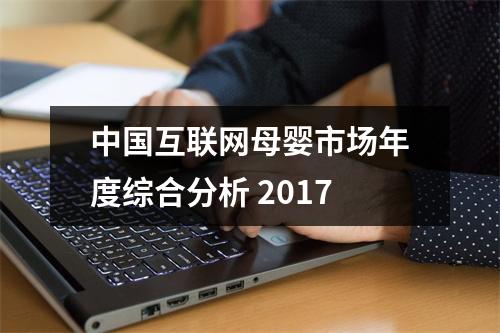 中国互联网母婴市场年度综合分析 2017