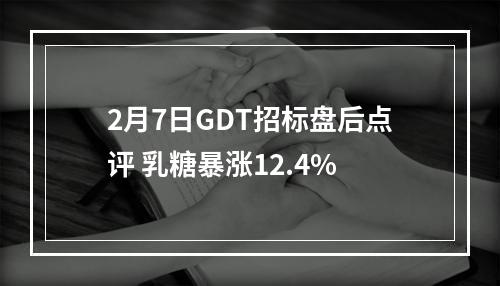2月7日GDT招标盘后点评 乳糖暴涨12.4%