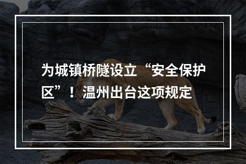为城镇桥隧设立“安全保护区”！温州出台这项规定