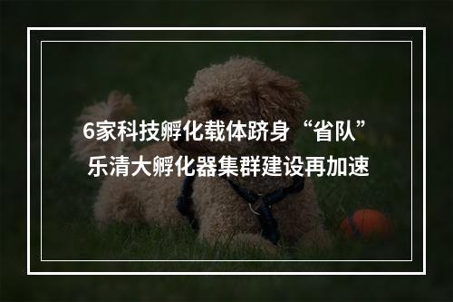 6家科技孵化载体跻身“省队” 乐清大孵化器集群建设再加速