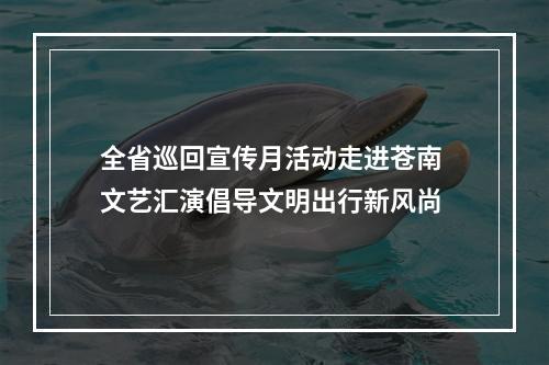 全省巡回宣传月活动走进苍南 文艺汇演倡导文明出行新风尚
