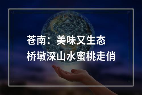 苍南：美味又生态 桥墩深山水蜜桃走俏