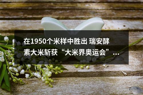 在1950个米样中胜出 瑞安酵素大米斩获“大米界奥运会”金奖