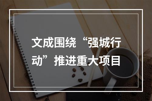 文成围绕“强城行动”推进重大项目