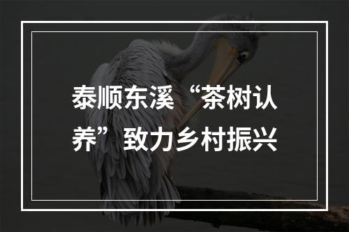 泰顺东溪“茶树认养”致力乡村振兴