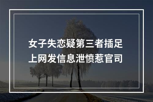 女子失恋疑第三者插足 上网发信息泄愤惹官司