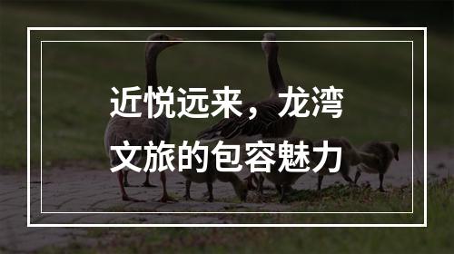 近悦远来，龙湾文旅的包容魅力