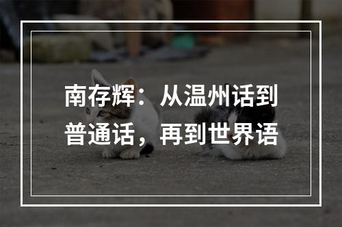 南存辉：从温州话到普通话，再到世界语