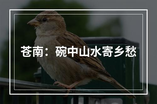 苍南：碗中山水寄乡愁