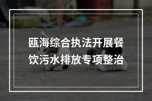 瓯海综合执法开展餐饮污水排放专项整治