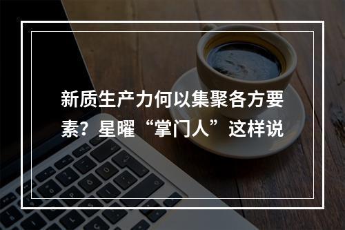 新质生产力何以集聚各方要素？星曜“掌门人”这样说