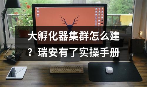 大孵化器集群怎么建？瑞安有了实操手册