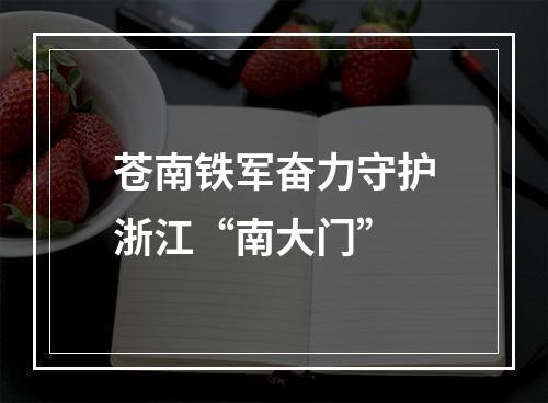 苍南铁军奋力守护浙江“南大门”