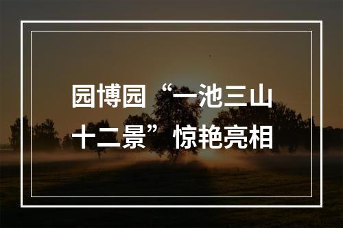 园博园“一池三山十二景”惊艳亮相
