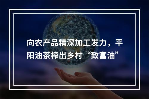 向农产品精深加工发力，平阳油茶榨出乡村“致富油”