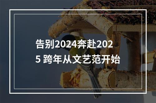 告别2024奔赴2025 跨年从文艺范开始